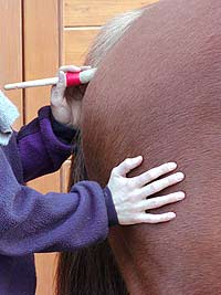 Massage der Meridiane